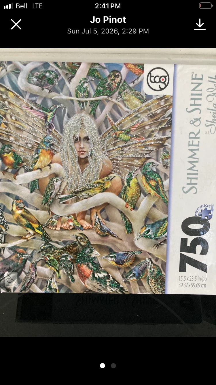 Jigsaw Puzzles - Shimmer & Shine, Dowdle, Charles Fazzino - photo 4