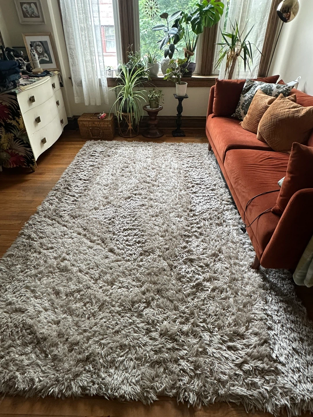 Plush Shag Area Rug - Ivory/Beige
