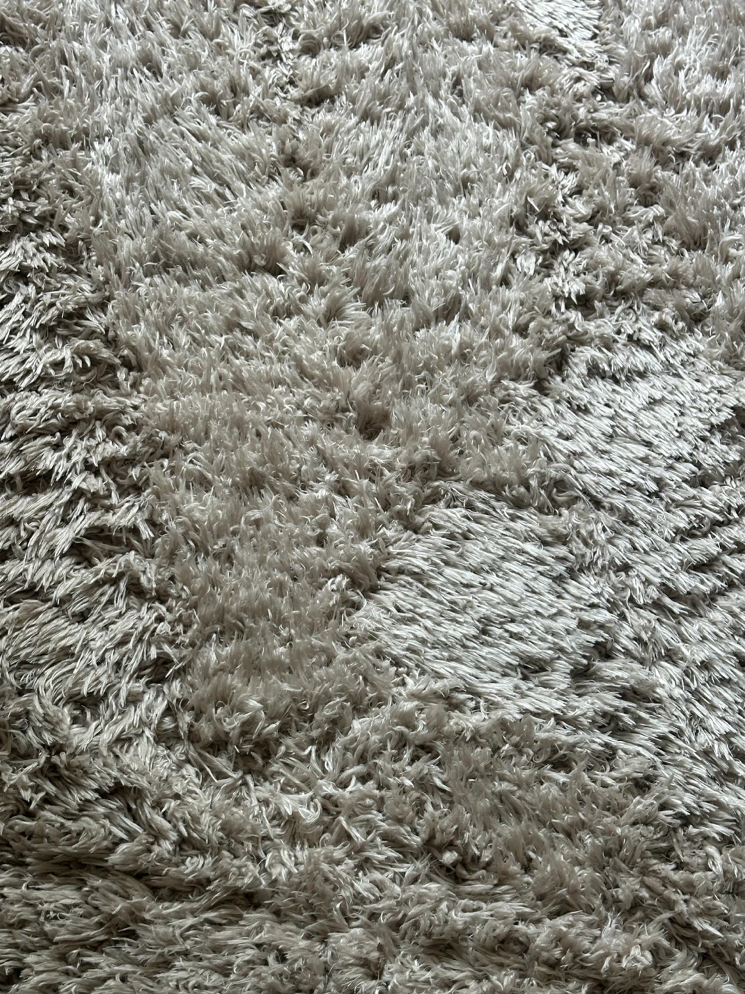 Plush Shag Area Rug - Ivory/Beige - photo 2