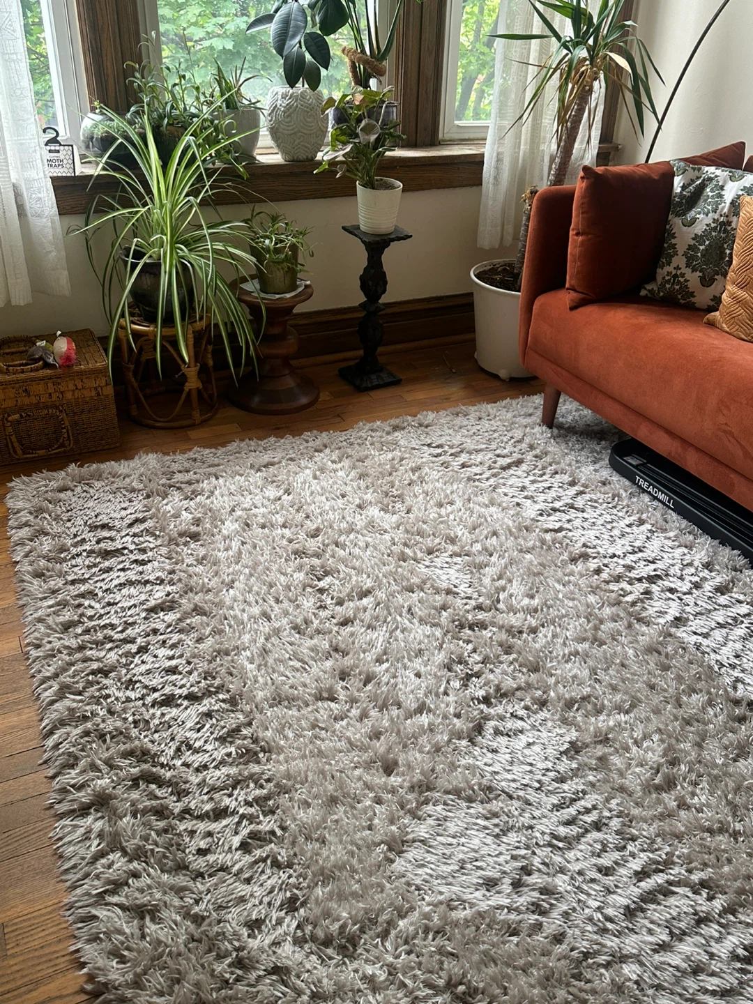 Plush Shag Area Rug - Ivory/Beige - photo 3