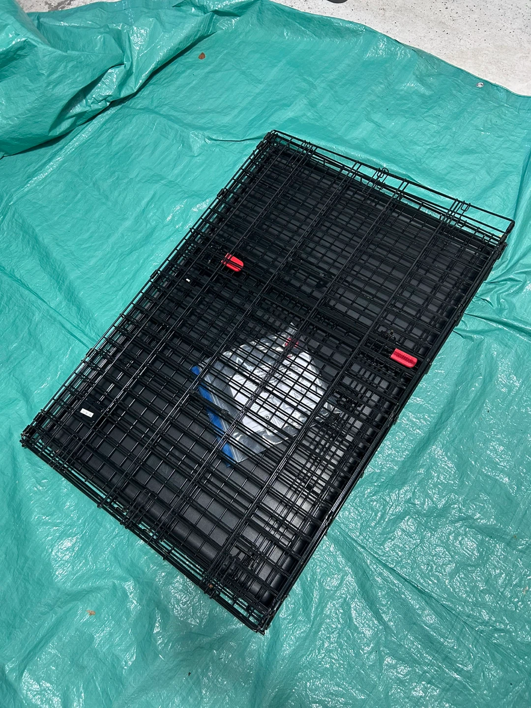 KONG Ultra-Strong Two-Door Crate  |  LARGE - 42"L × 29"W × 31"H - photo 4