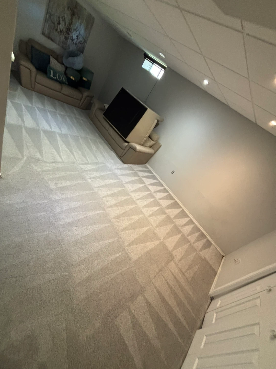 Carpet Steam Cleaning