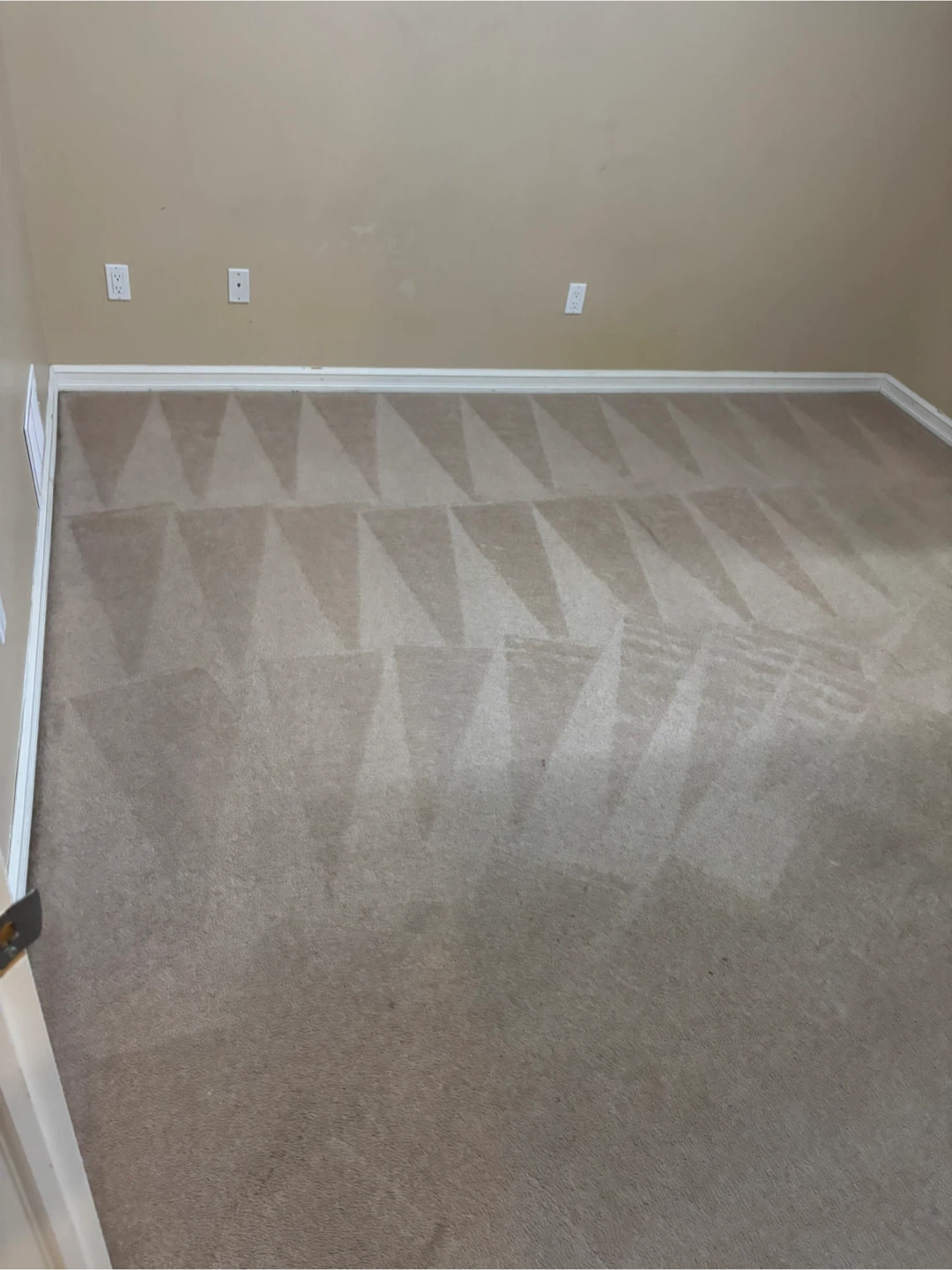 Carpet Steam Cleaning - photo 2
