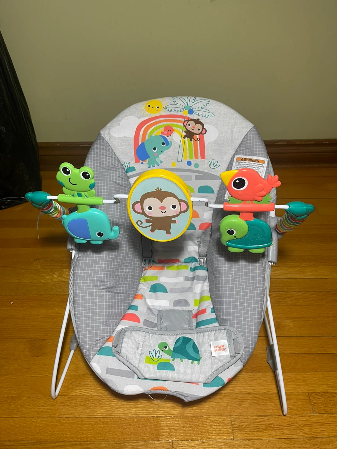 Bright Starts Baby Bouncer Seat - photo 3