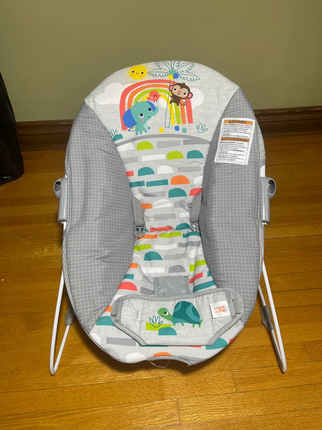 Bright Starts Baby Bouncer Seat - photo 4