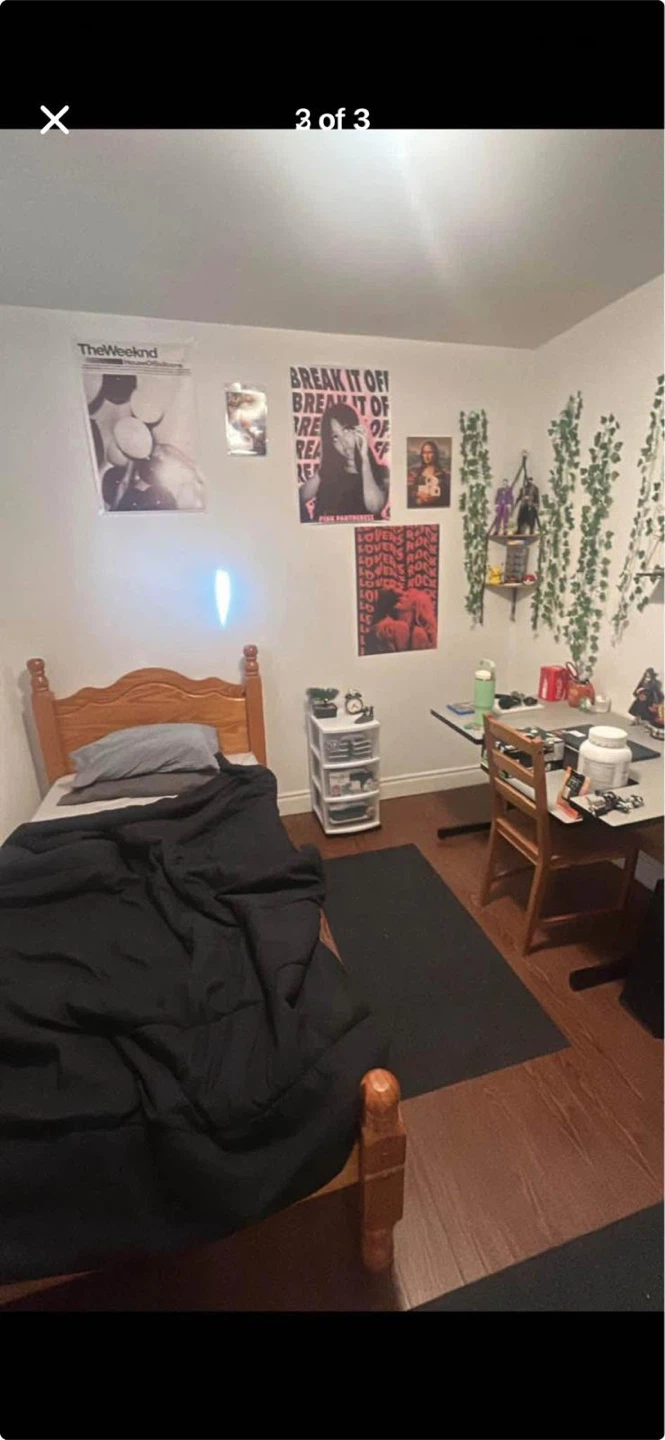 Private room for rent - photo 2