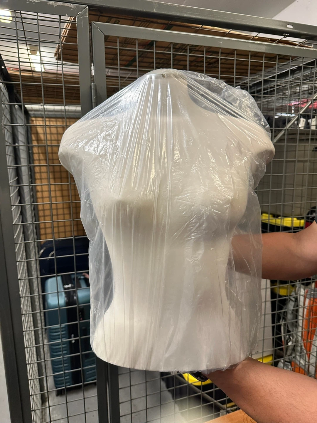 White Torso Mannequin Display Form