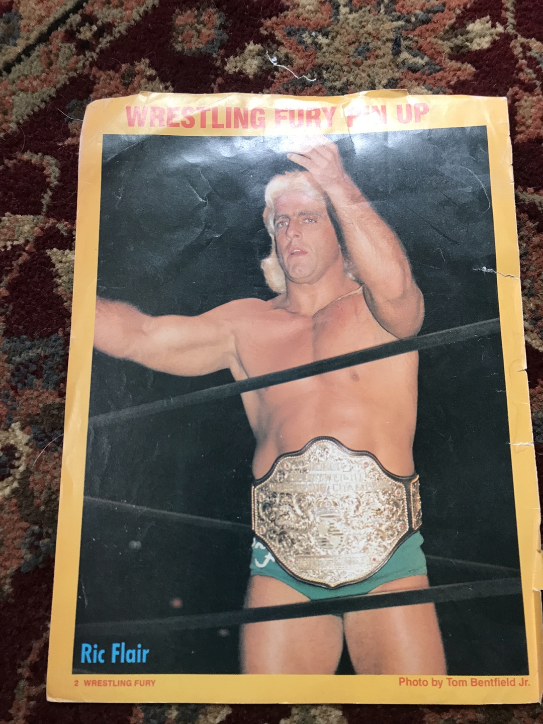 Wrestling Fury Pin Up Ric Flair Poster