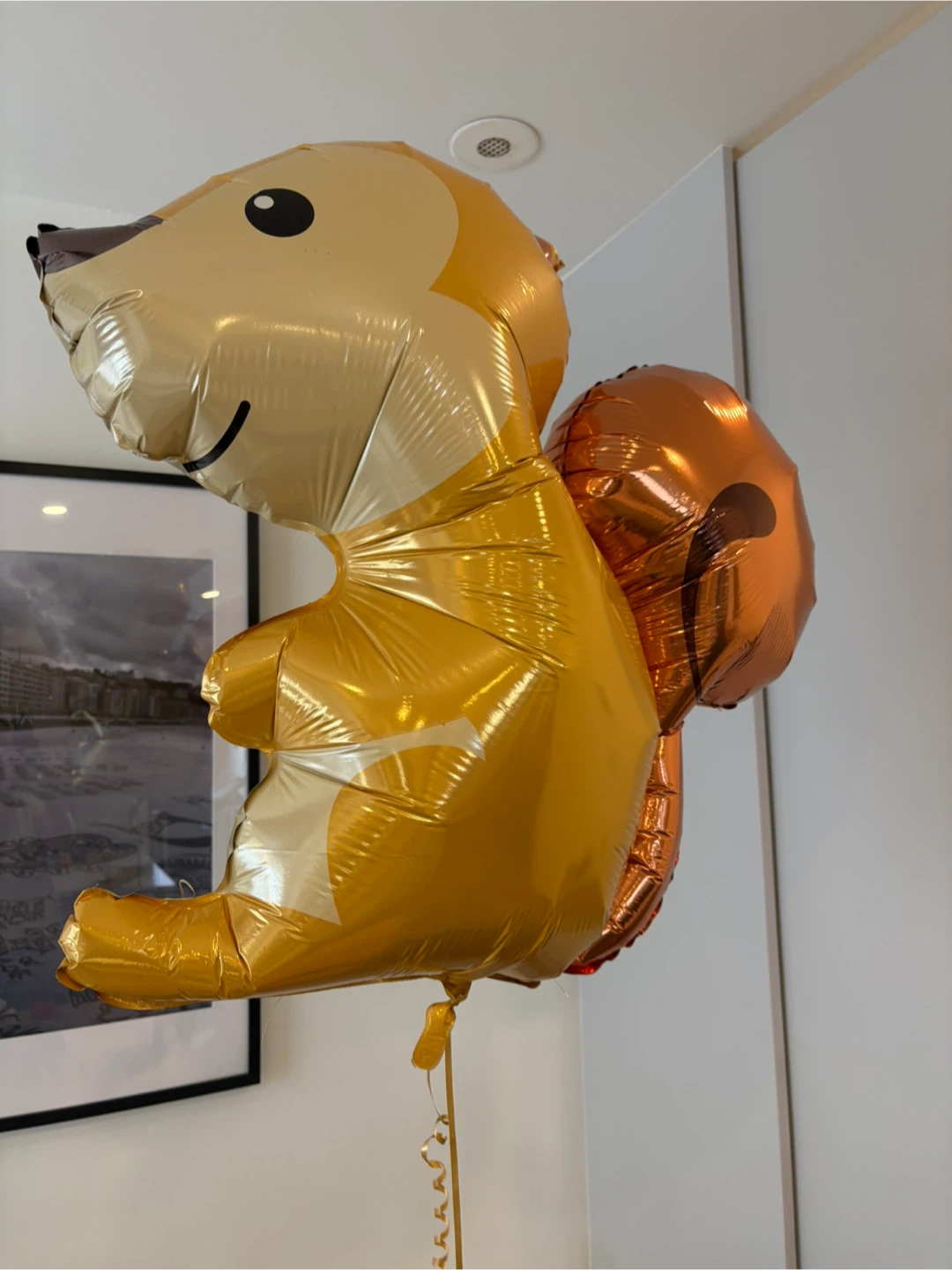 Gold Foil "1" Balloon & Squirrel Balloon - photo 2
