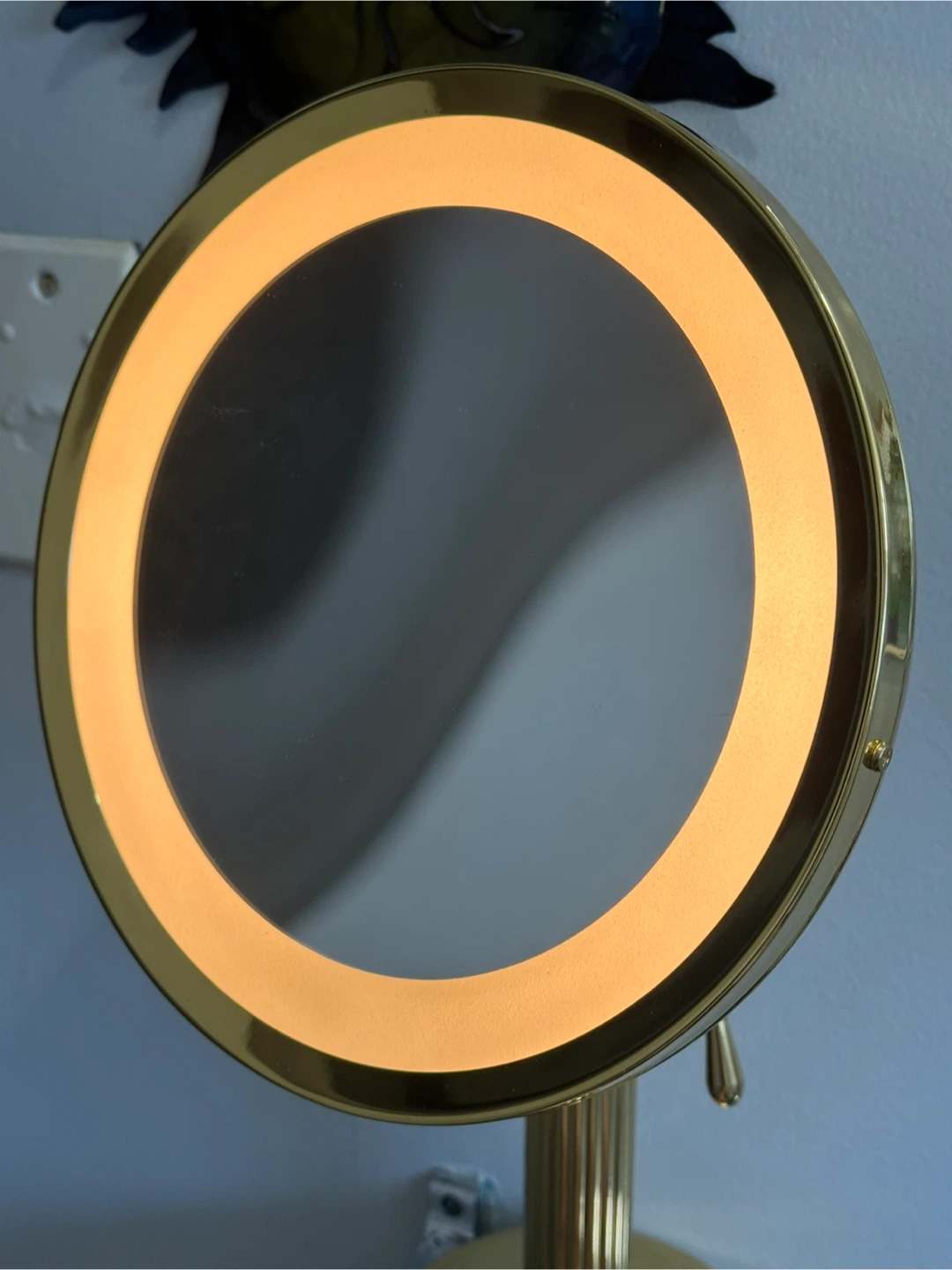 Looking glass collection brass vanity mirror - photo 3