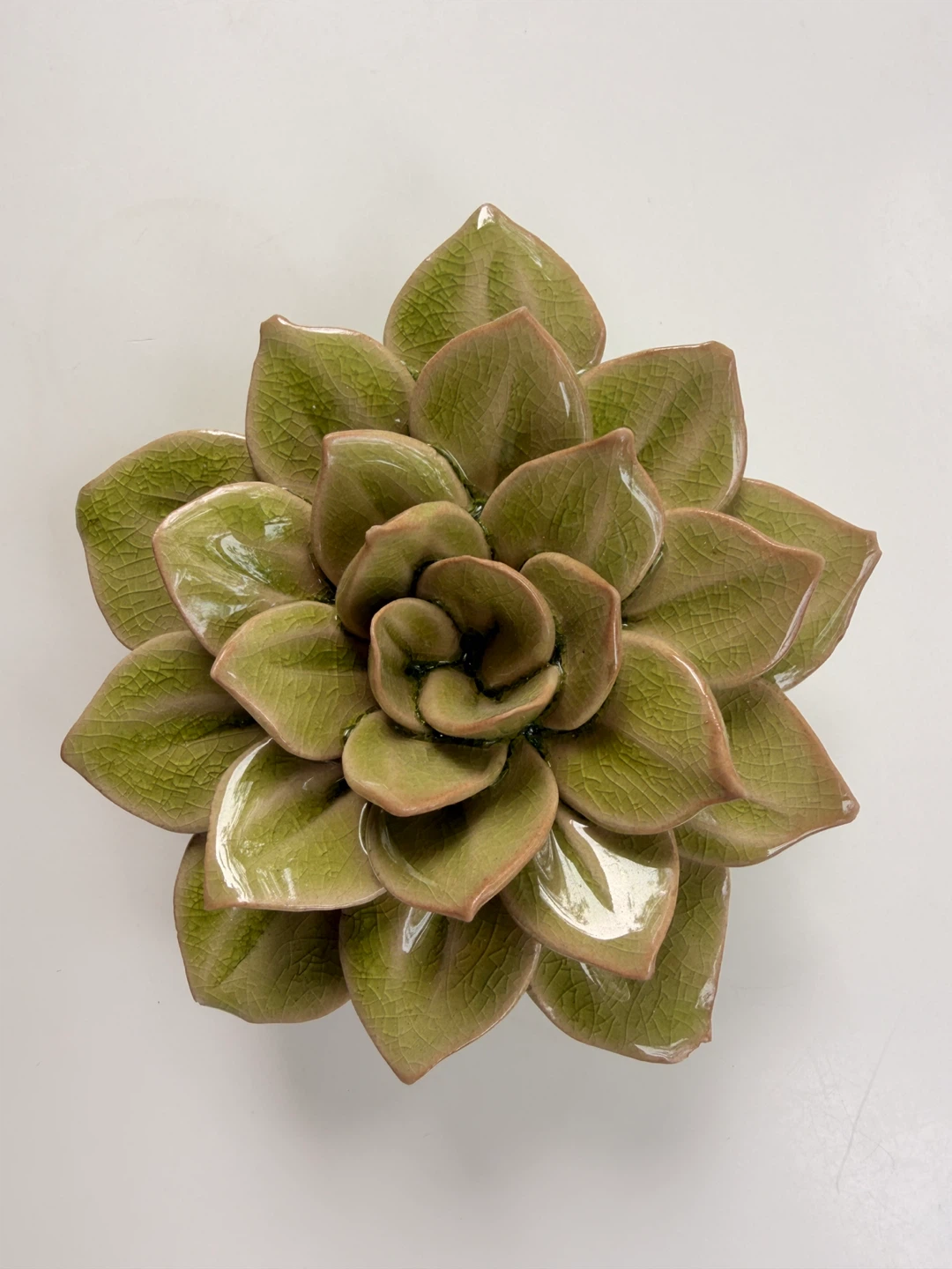 Ceramic Succulent Wall Art