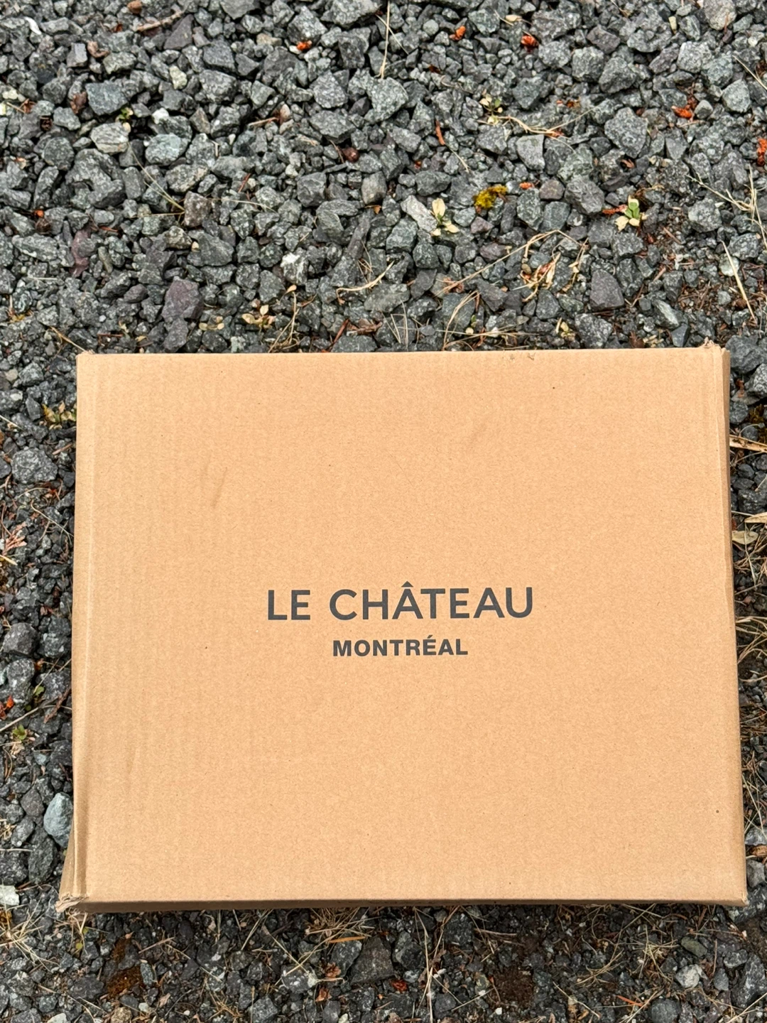 Le Château Black Heeled Sandals