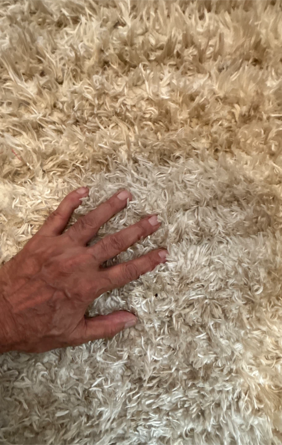 Beautiful Beige Shag Rug (6.7 ft x 9 ft) Made in Turkey