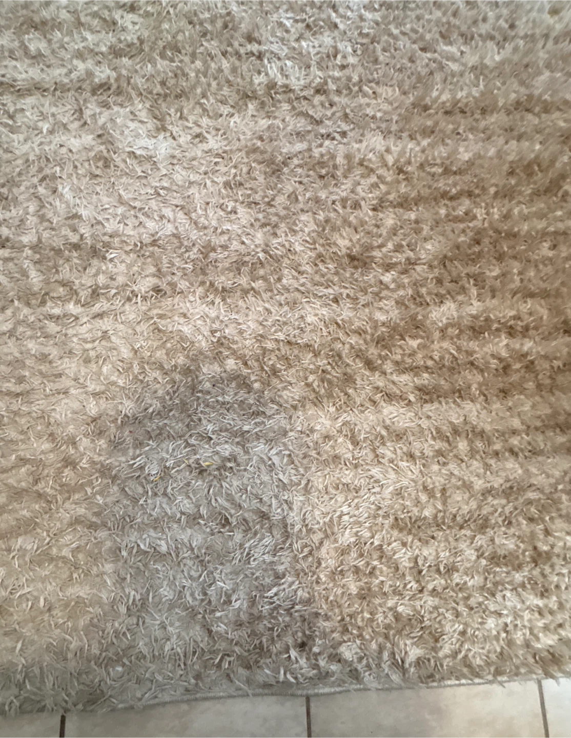 Beautiful Beige Shag Rug (6.7 ft x 9 ft) Made in Turkey - photo 2