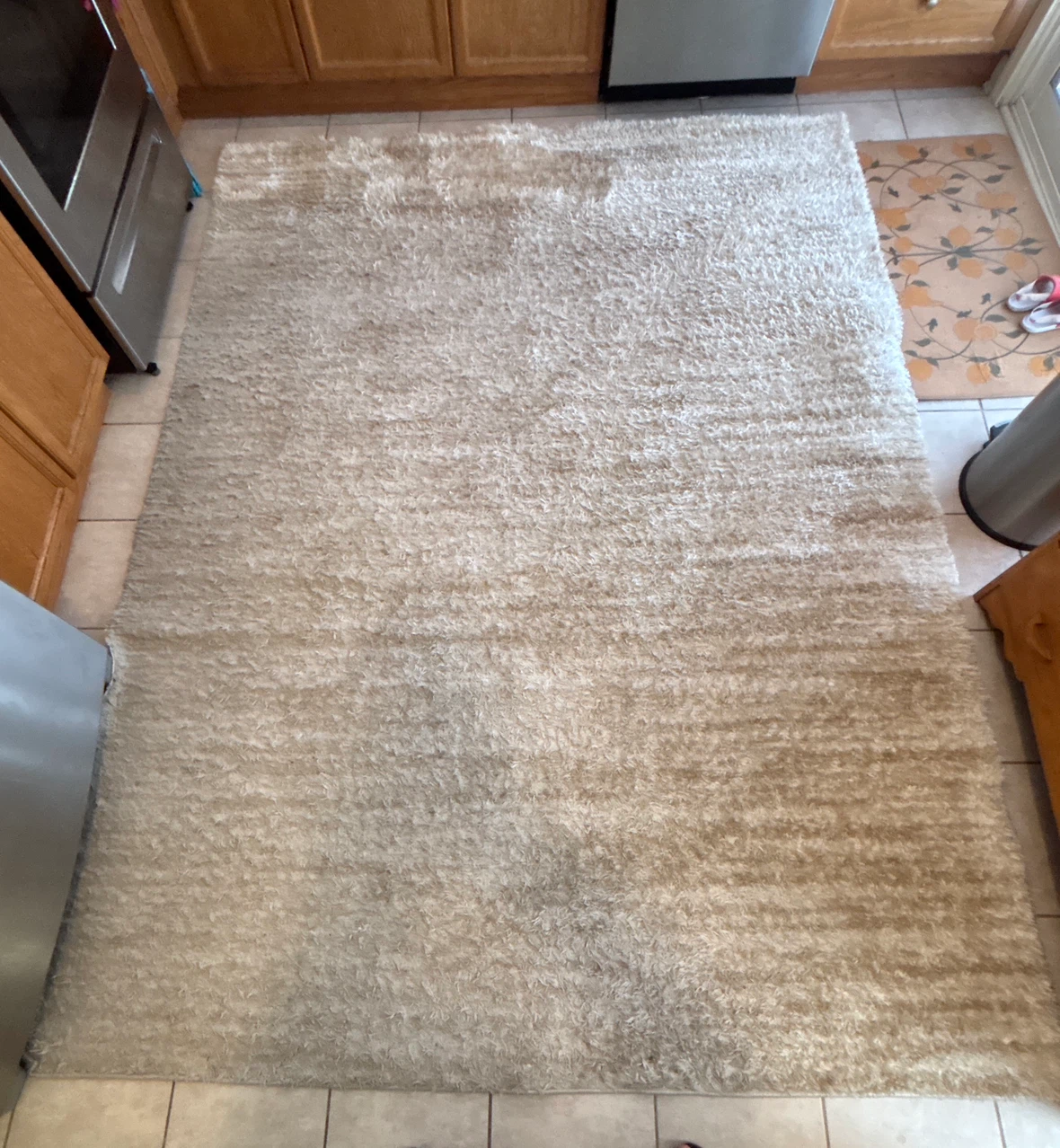 Beautiful Beige Shag Rug (6.7 ft x 9 ft) Made in Turkey - photo 3