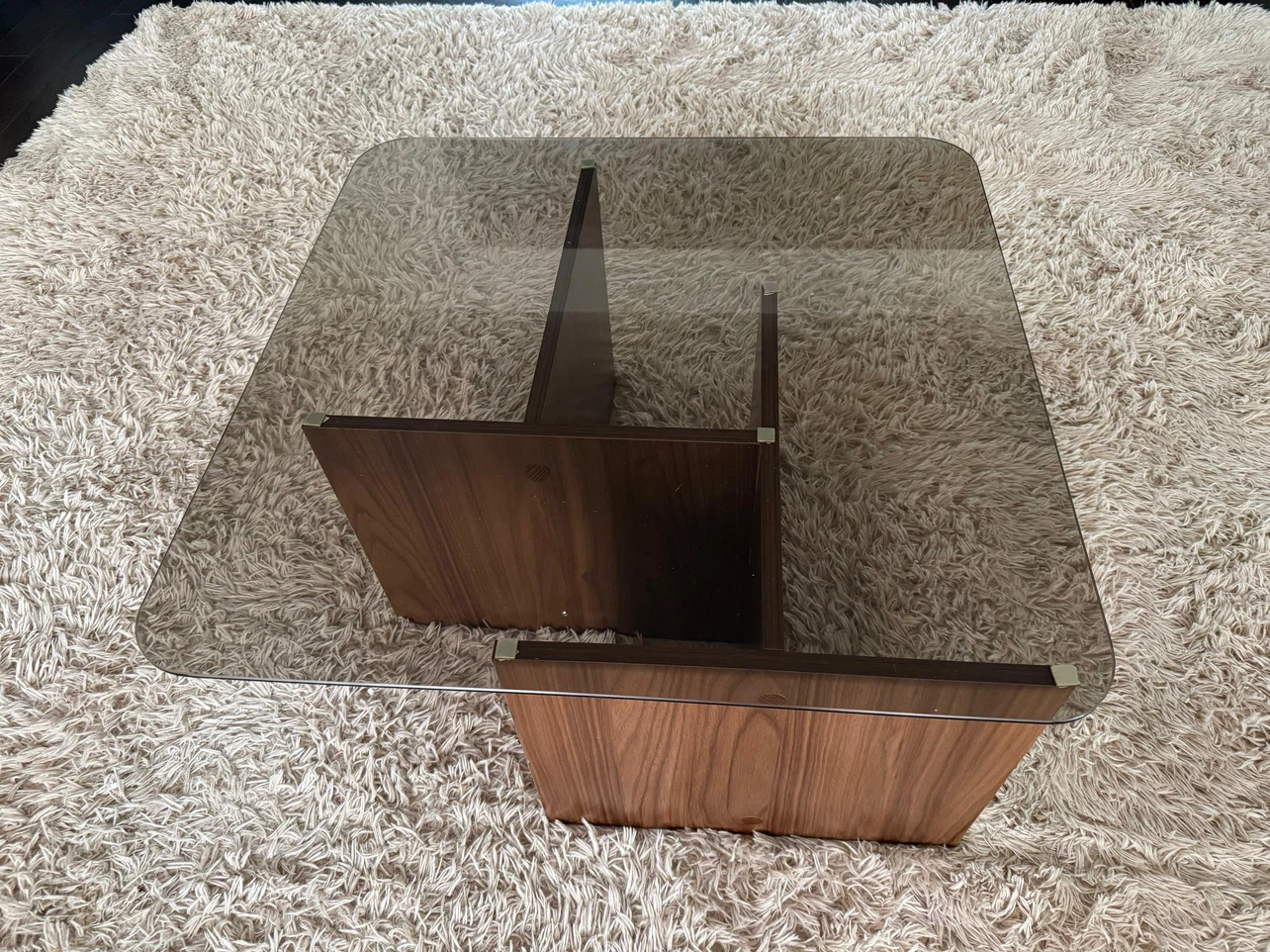 Glass and Wood Coffee Table