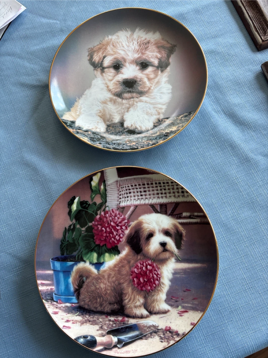 Decorative Dog Plates