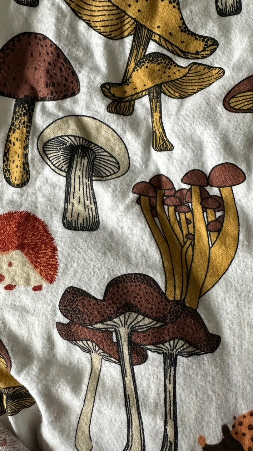 Hudson's Bay Mushroom Sheet & Pillow Set - photo 5
