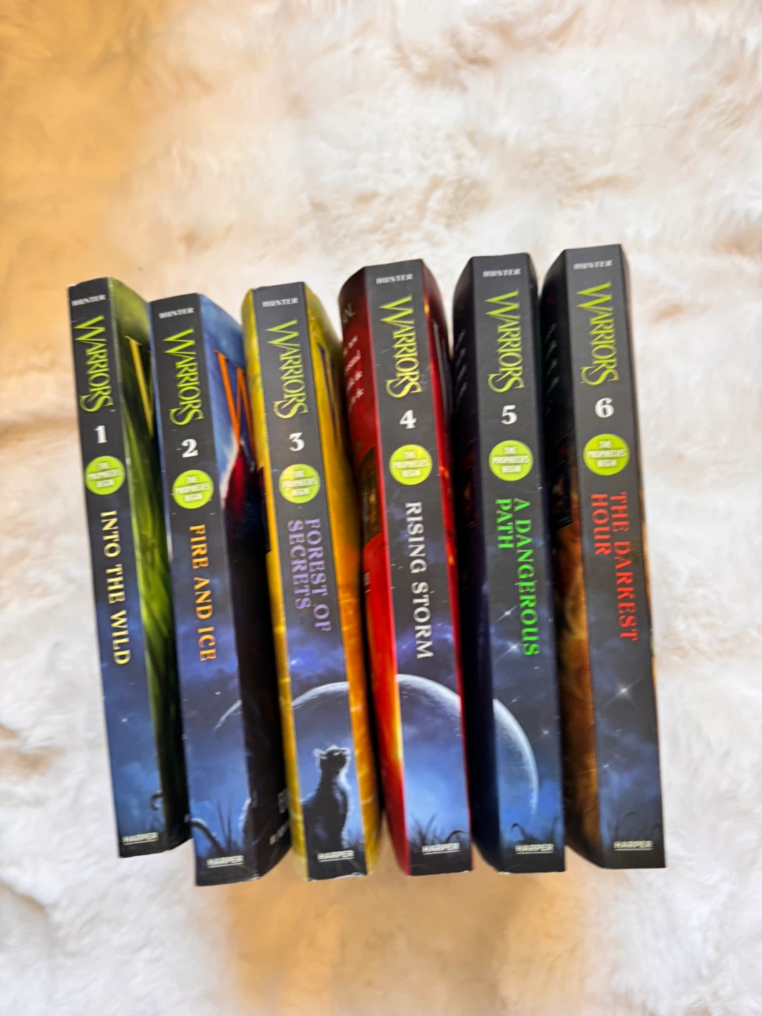 Warrior Cats Books 1-6