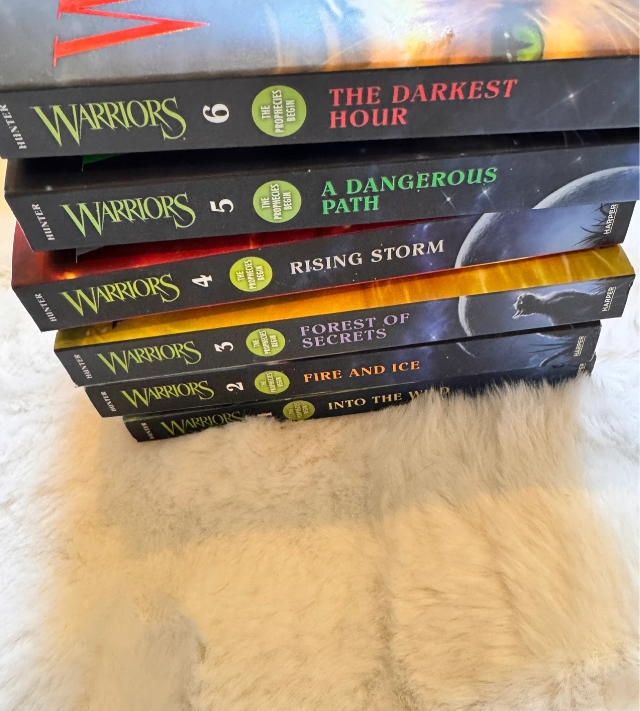 Warrior Cats Books 1-6 - photo 2