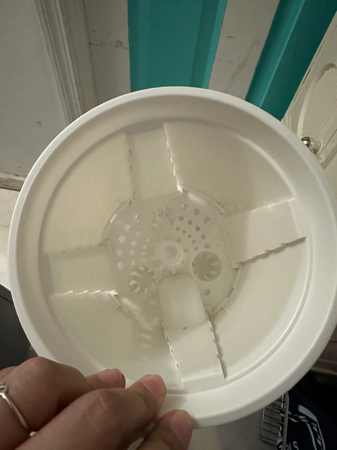 Self Watering Plastic Pot - photo 3