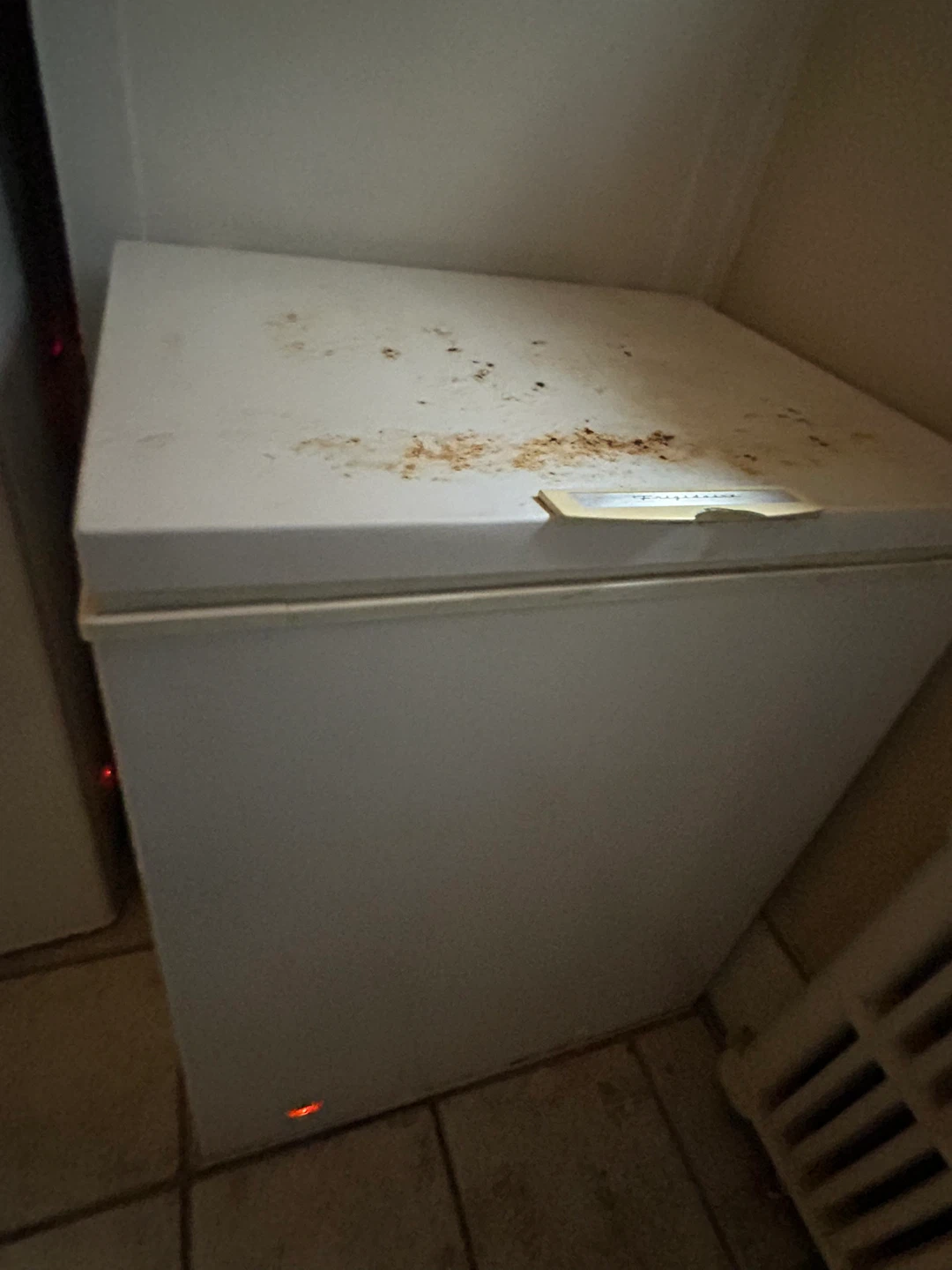 White Chest Freezer - photo 2