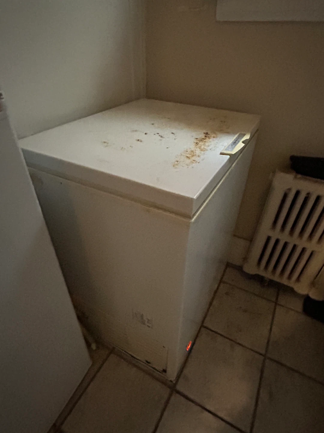White Chest Freezer - photo 3