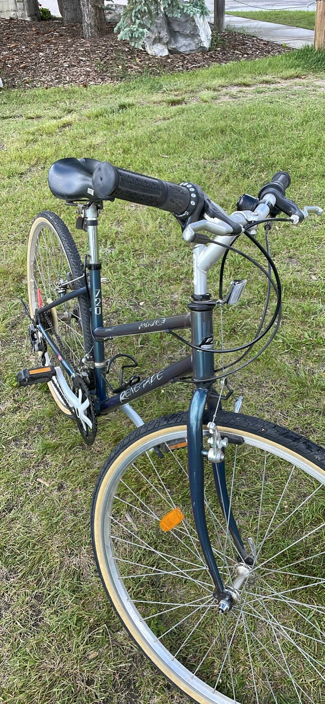 Vintage Hybrid Lite Renegade 720 bike, chromolite - photo 4