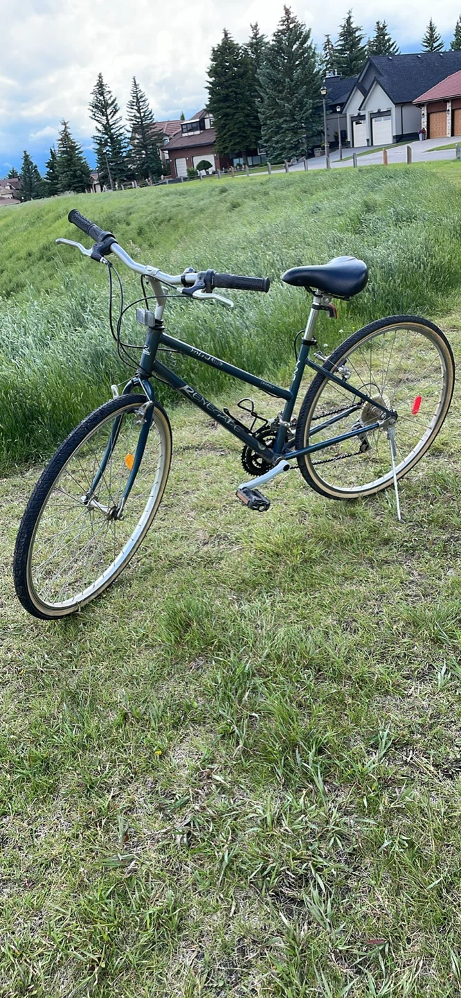 Vintage Hybrid Lite Renegade 720 bike, chromolite