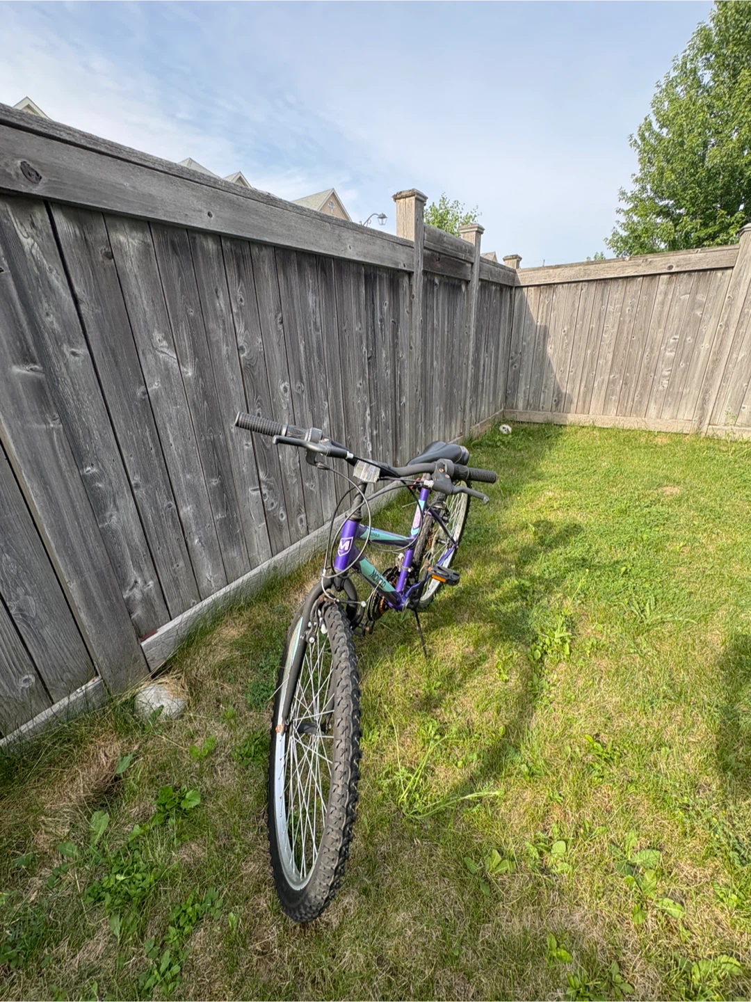 Mongoose Purple Mountain Bike