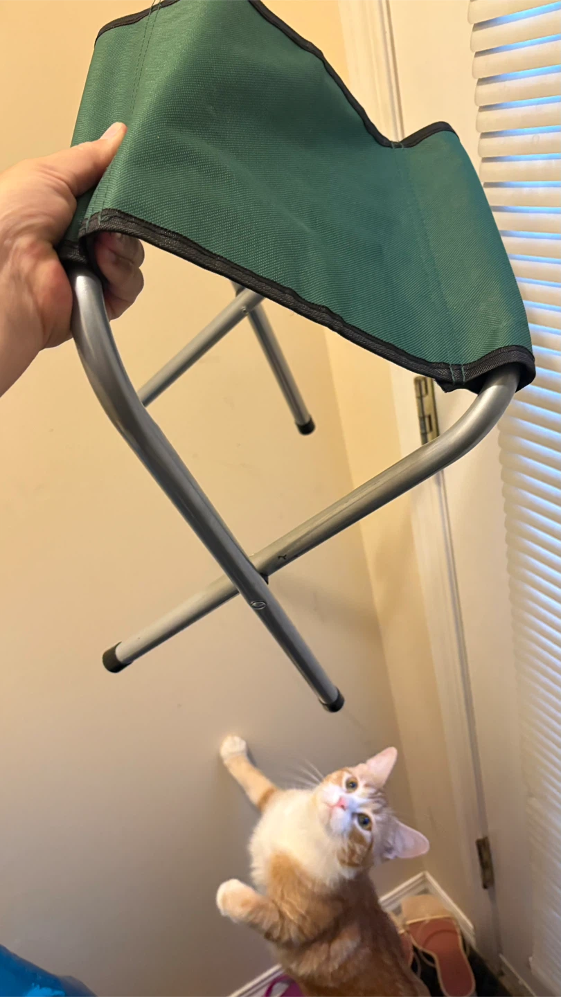 ⚽️ Green Folding Stool
