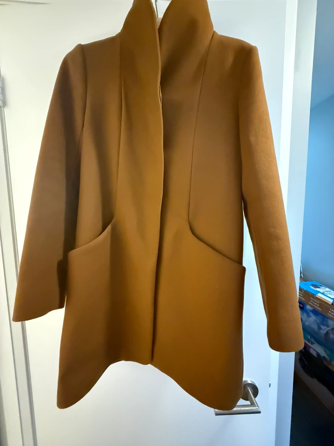 Wilfred Aritzia Coat