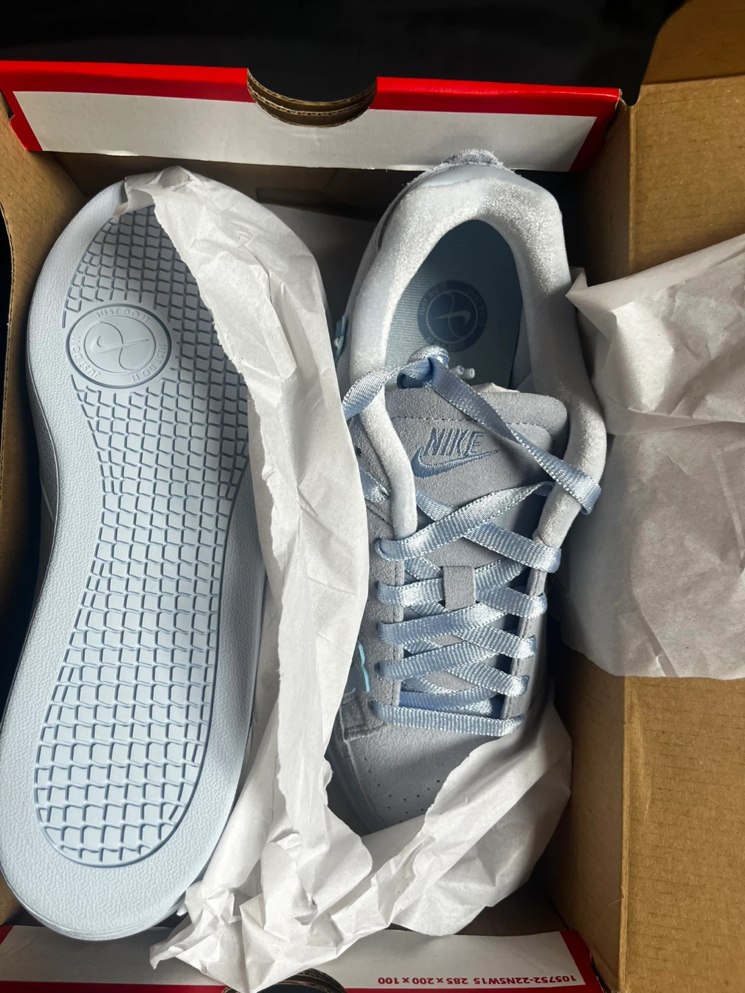 Nike Sneakers (Light Blue)