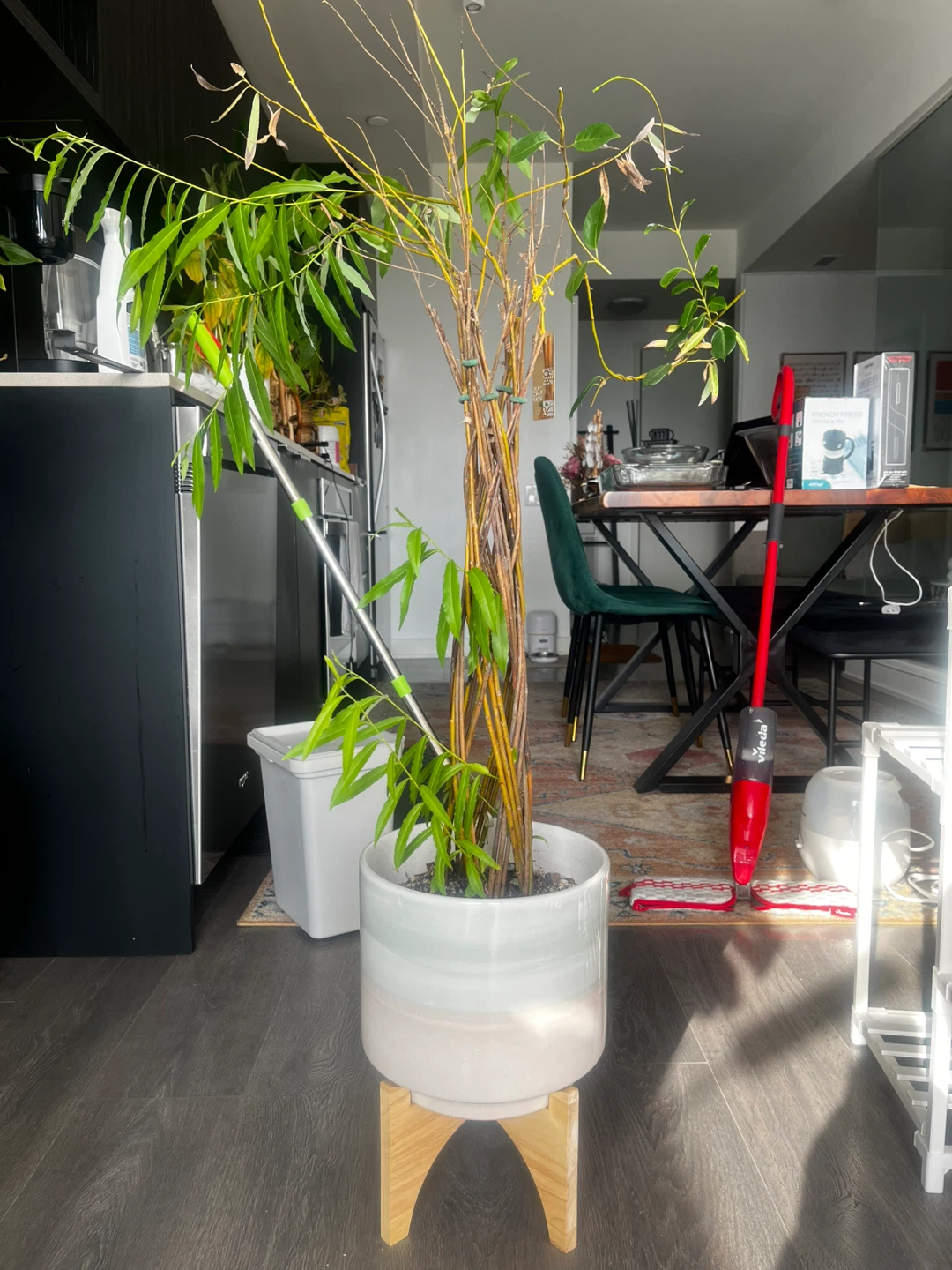 Braided Potted Plant