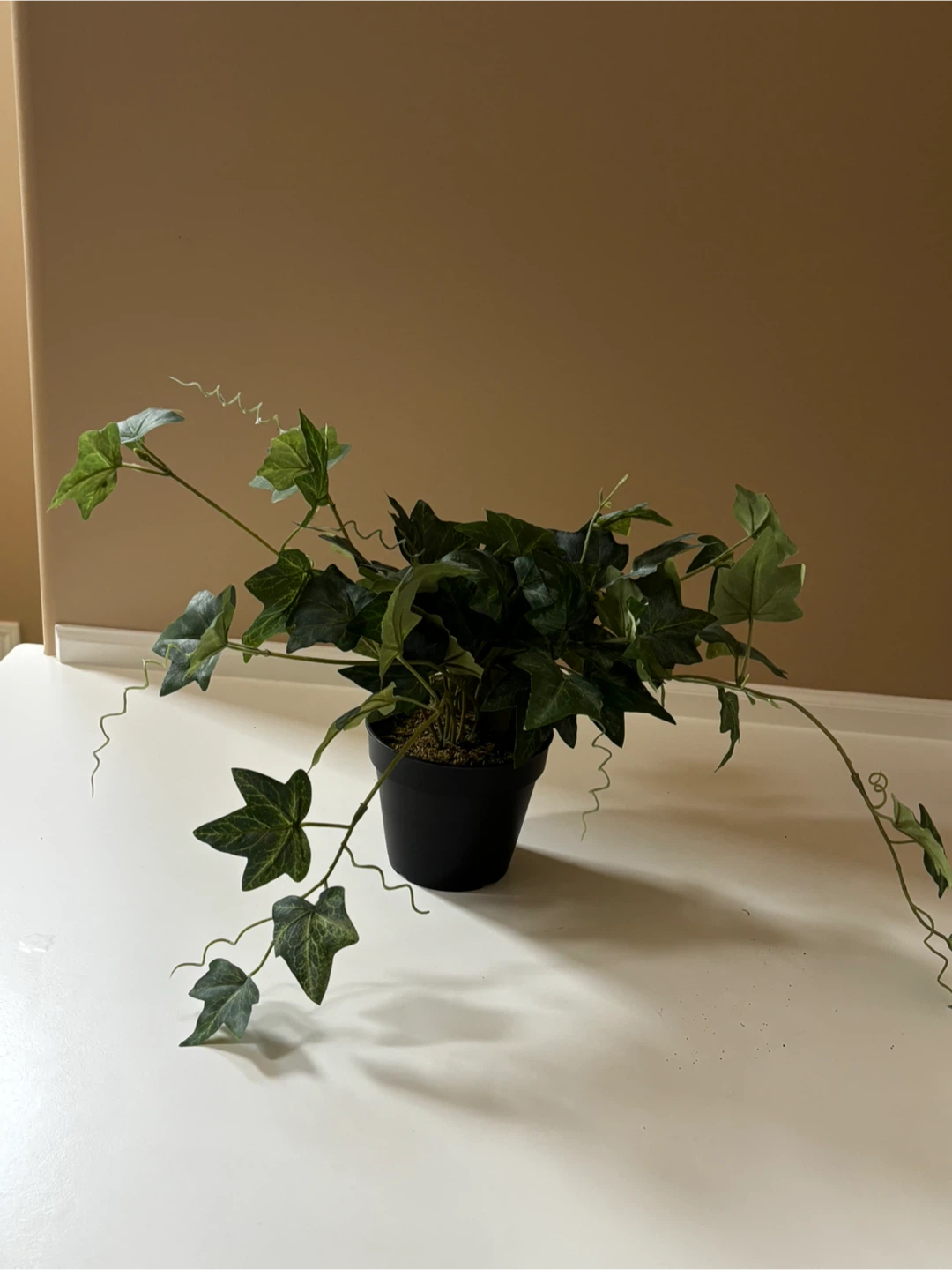 Fake plant