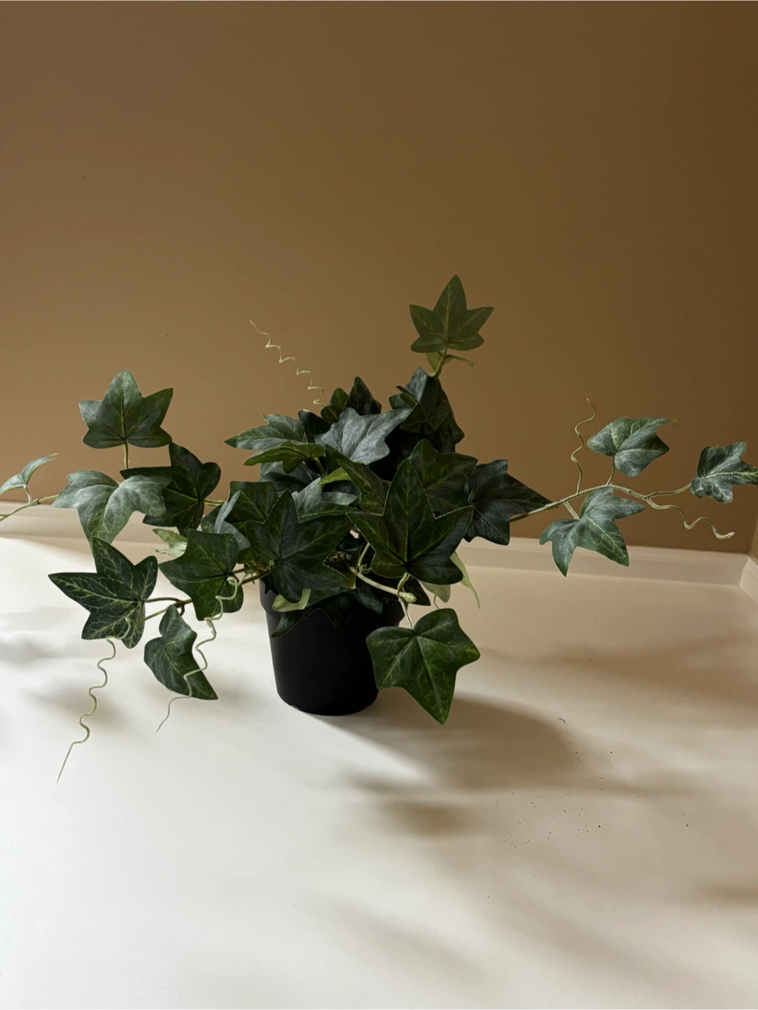 Fake plant - photo 2