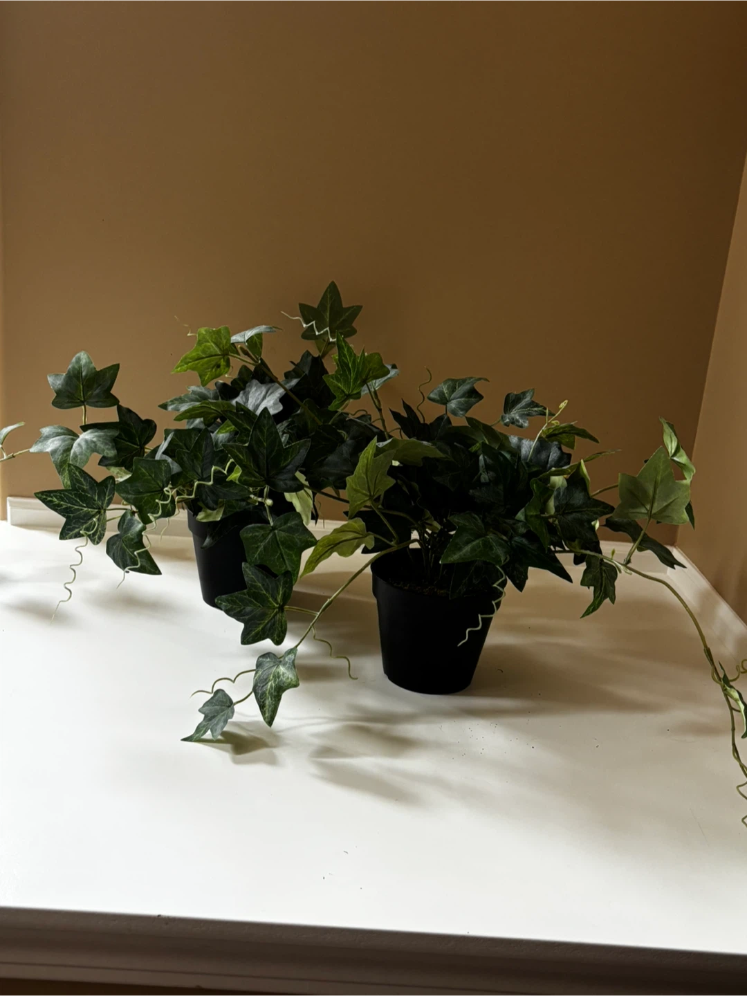 Fake plant - photo 3