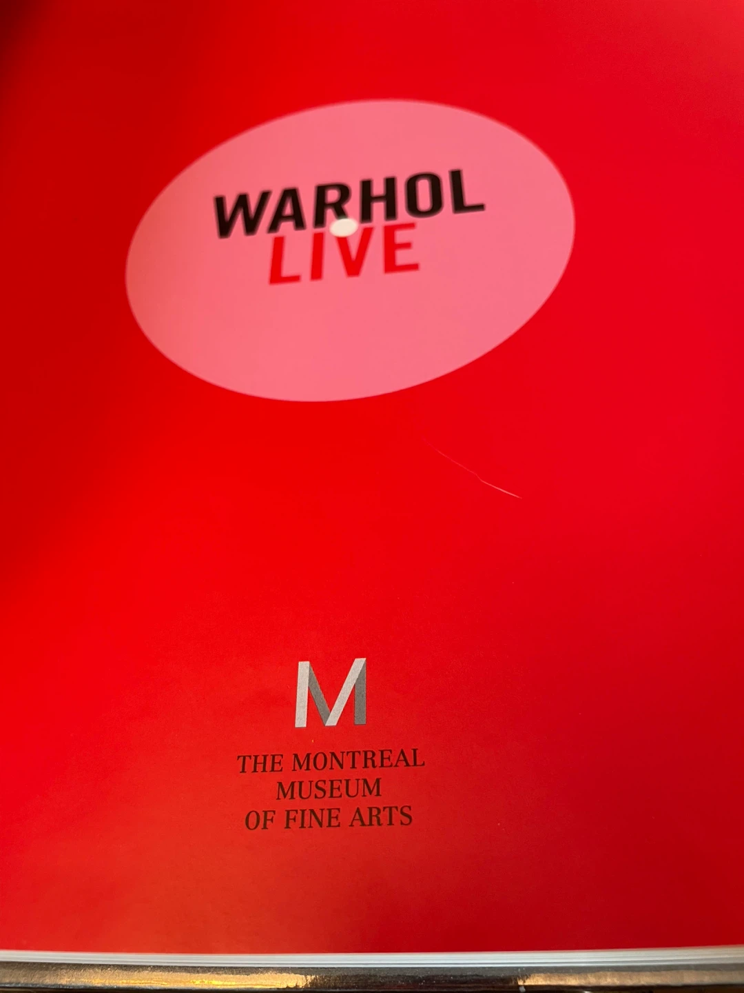 Warhol Live Catalogue from Montreal Museum of Fine Arts - photo 3