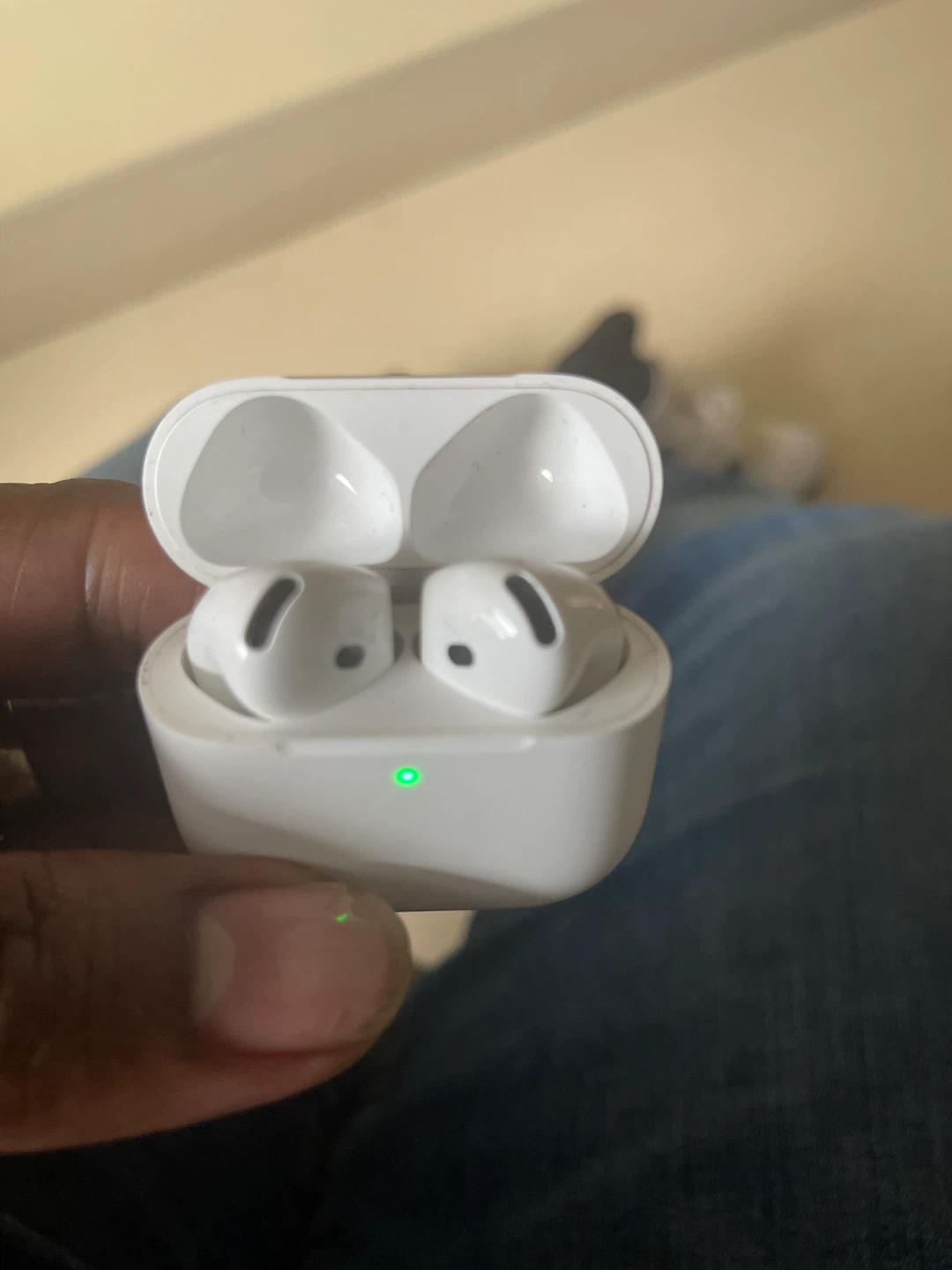 Apple AirPods Pro Charging Case with Earbuds - photo 3