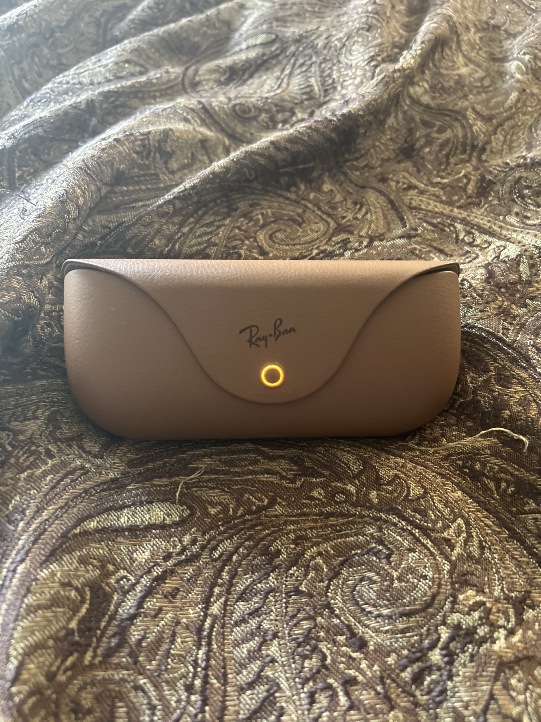 Ray ban meta case