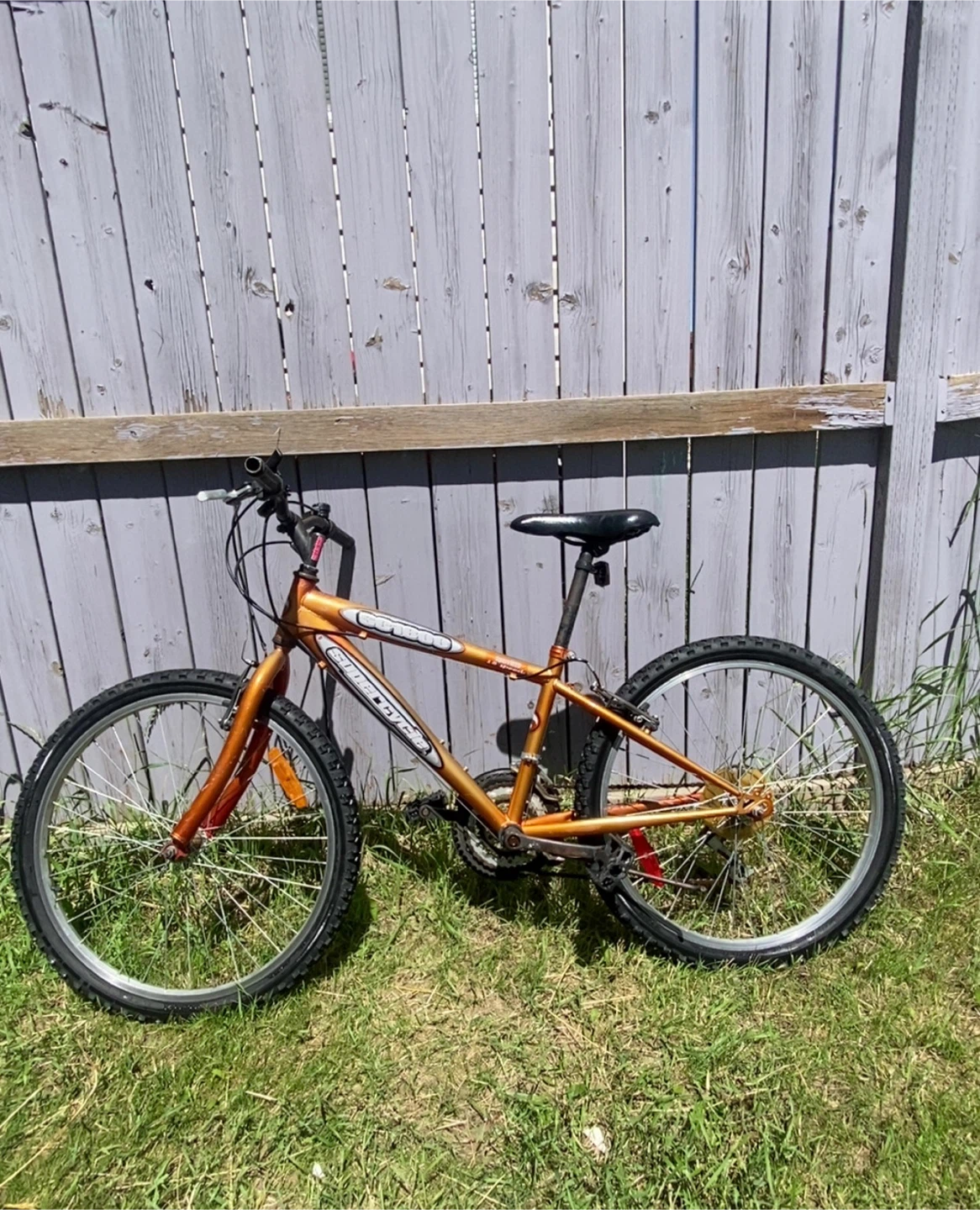 Super cycle mountain bicycle - photo 4