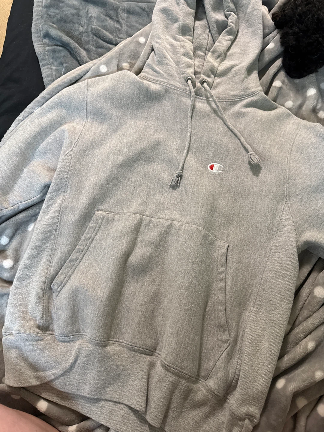 Champion Grey Hoodie
