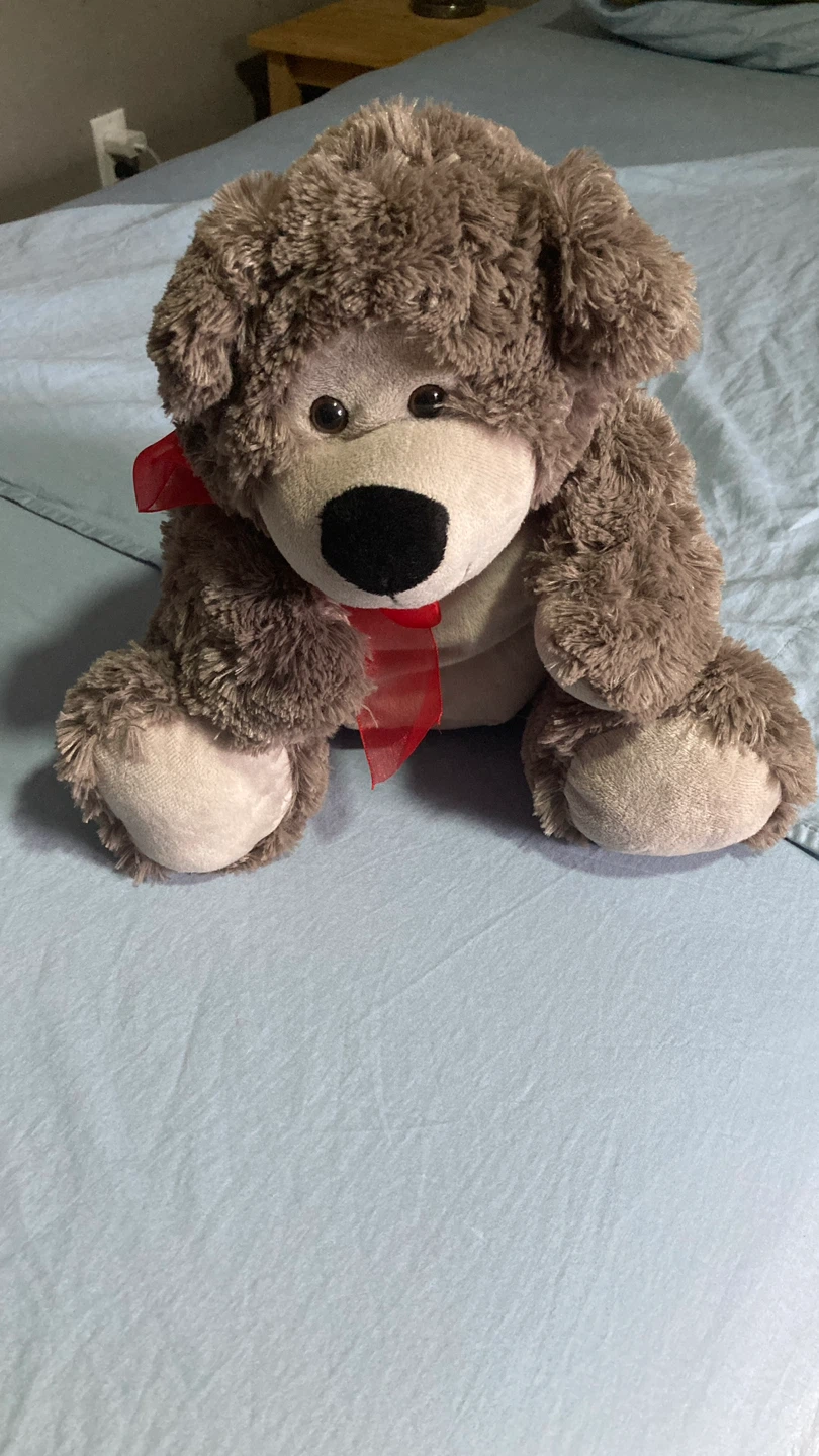 Brown Teddy Bear Plush Toy with Red Bow
