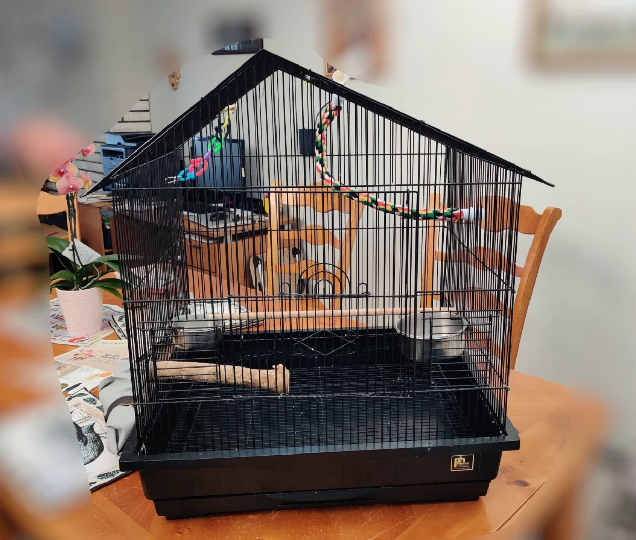 Black Bird Cage with Accessories - photo 3