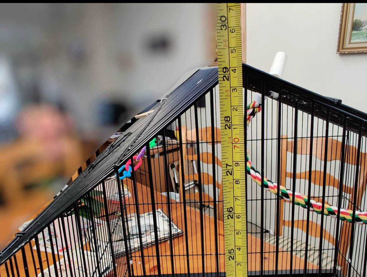 Black Bird Cage with Accessories - photo 5