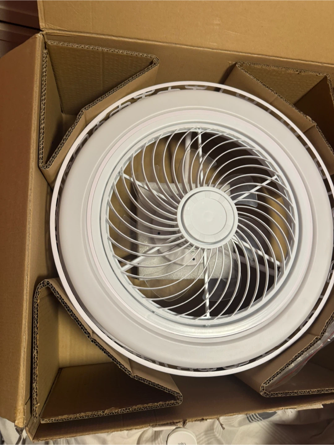 White Ceiling Fan