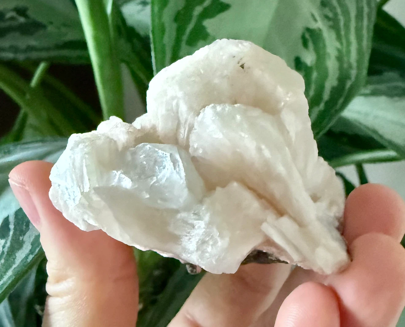 Apophylite With Quartz Crystal Cluster