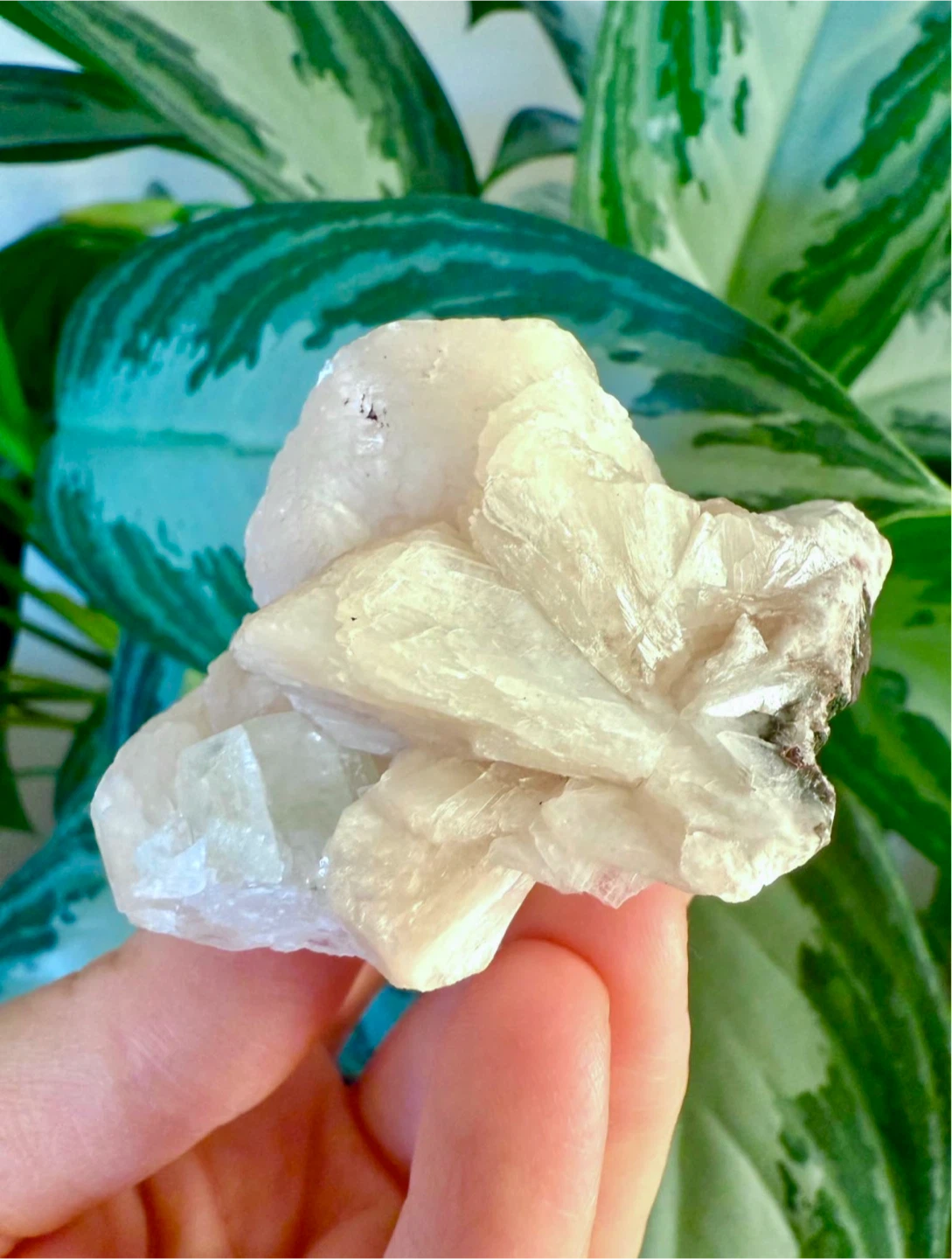 Apophylite With Quartz Crystal Cluster - photo 2