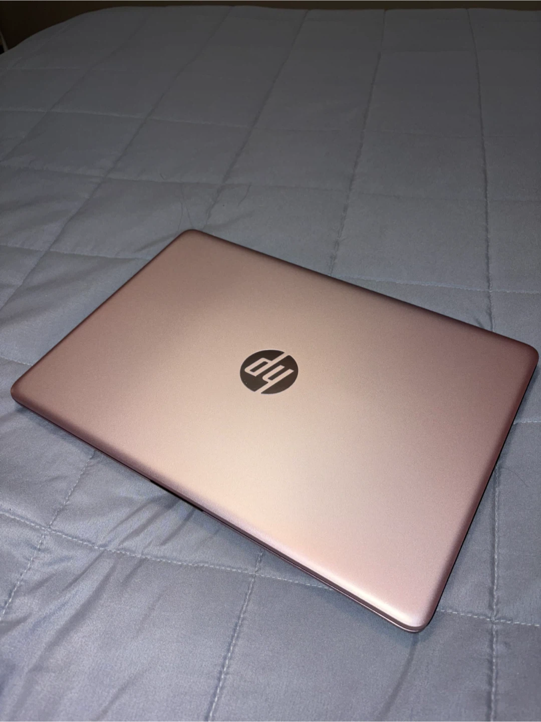 HP Laptop - Rose Gold