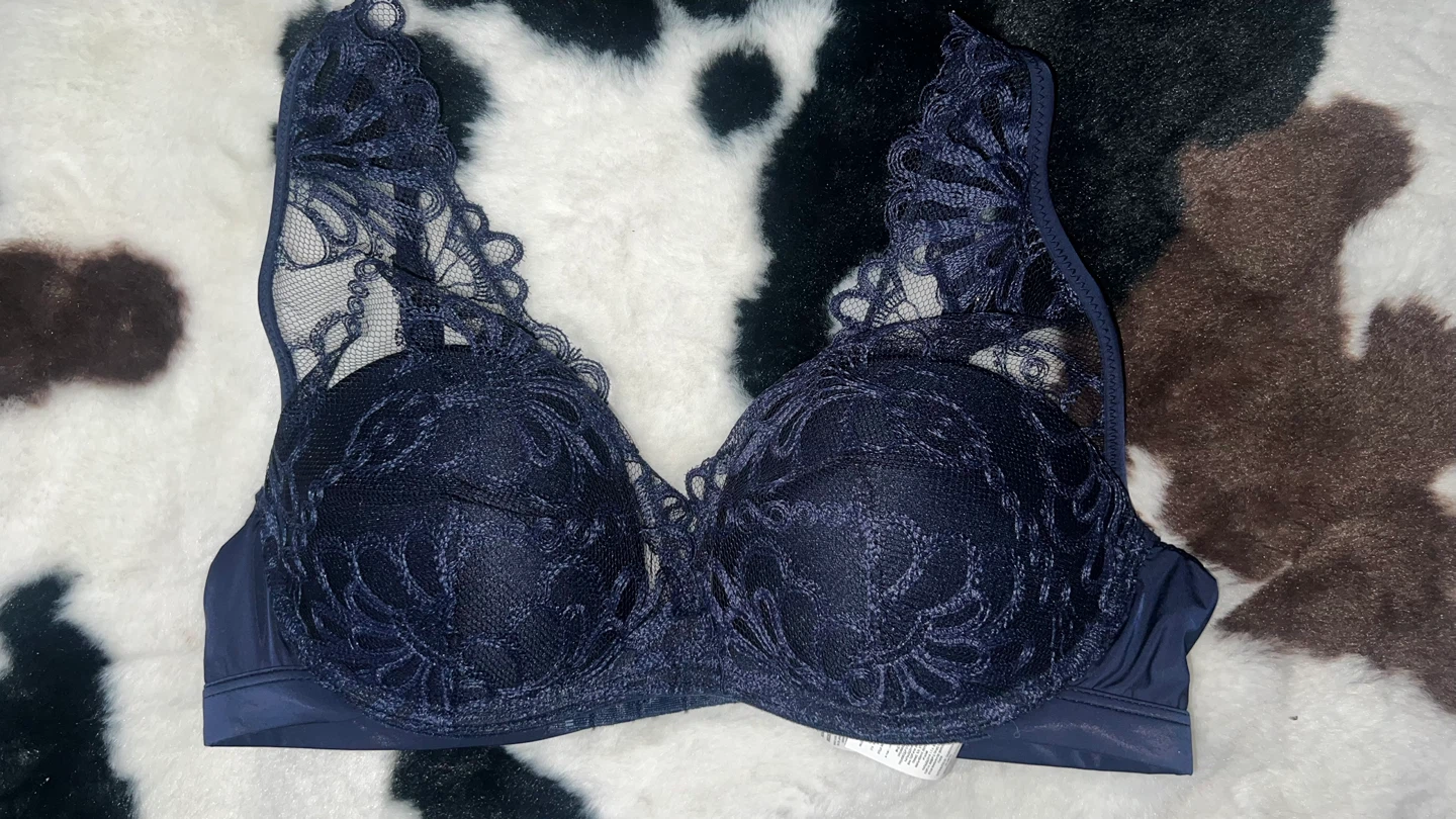 Blue Lace Bra intimissimi 36B